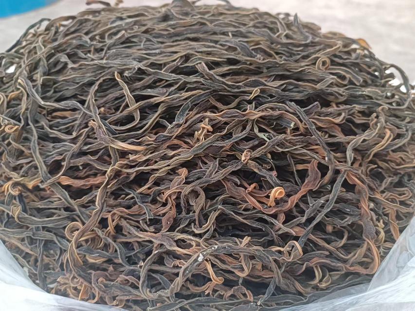 一片杂草丛生的路边土坡上,几株刚冒出地面约10-15厘米高的野生竹笋,表皮呈暗褐色并带有细密绒毛,周围可见烟头、塑料碎片等垃圾,阳光斜照下凸显环境脏乱感 路边野生竹笋特写