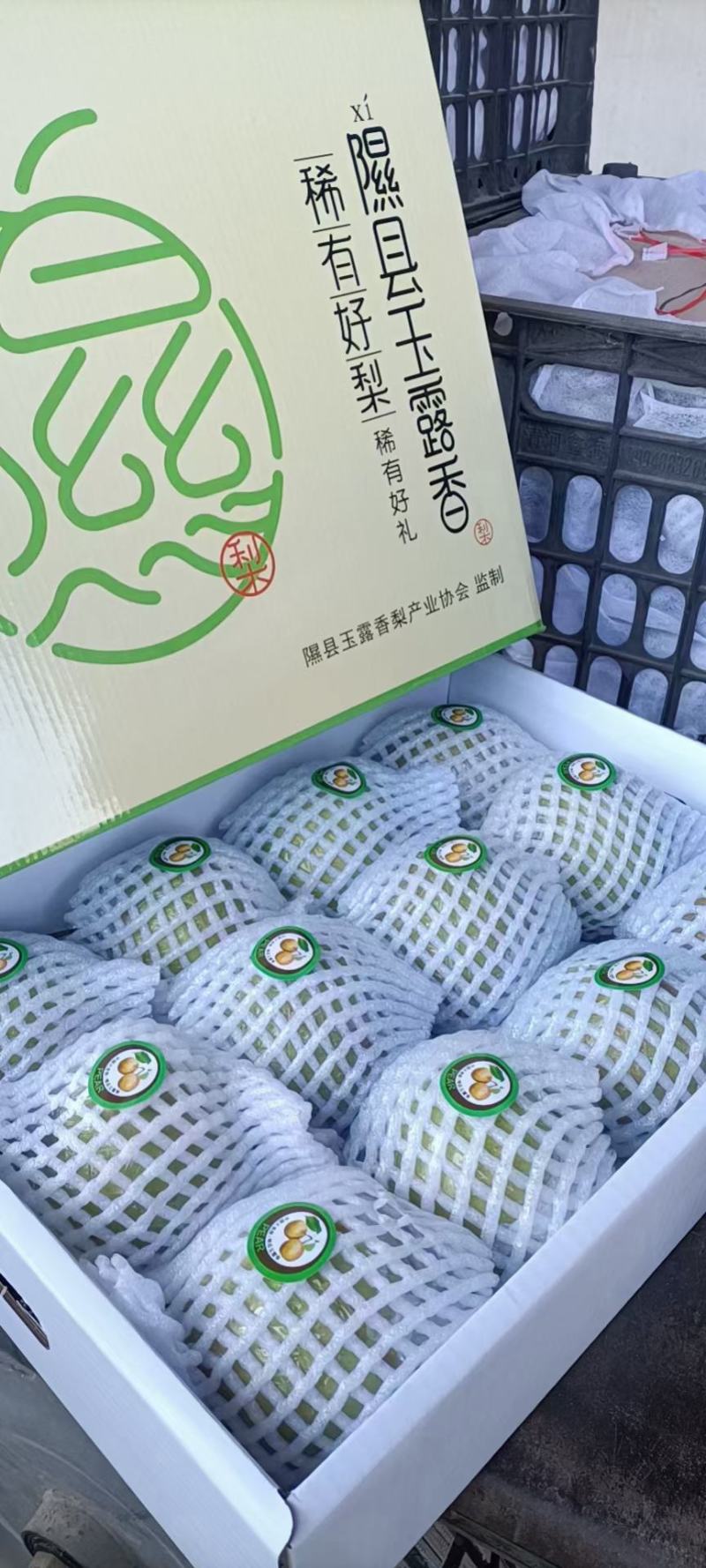 隰县玉露香梨上市啦中秋佳节，送礼就选玉露香，