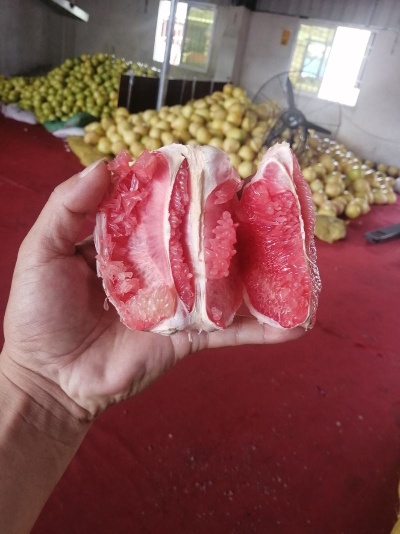 福建三红蜜柚，果大皮薄、瓤肉无籽，色泽鲜艳、汁多柔软，清