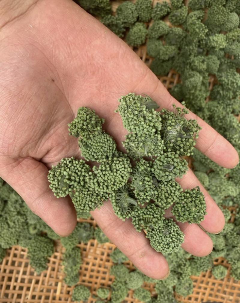 三七花，四年生，新货无硫无熏蒸，产地一手货源，实拍现货