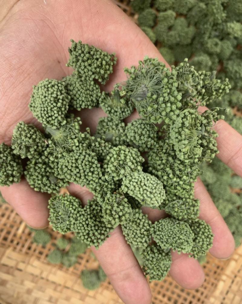 三七花，四年生，新货无硫无熏蒸，产地一手货源，实拍现货