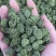 三七花，四年生，新货无硫无熏蒸，产地一手货源，实拍现货