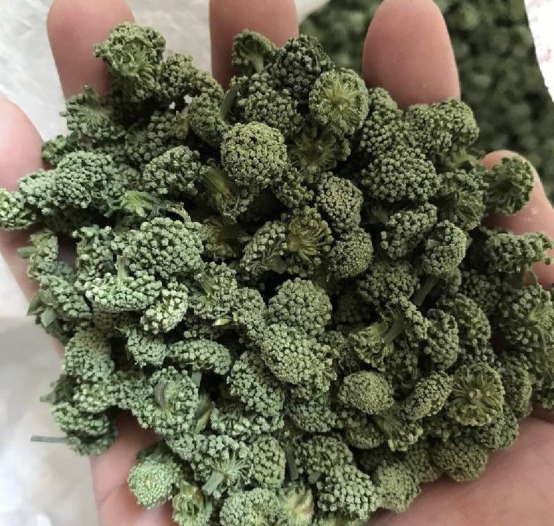 三七花，四年生，新货无硫无熏蒸，产地一手货源，实拍现货