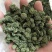 三七花，四年生，新货无硫无熏蒸，产地一手货源，实拍现货