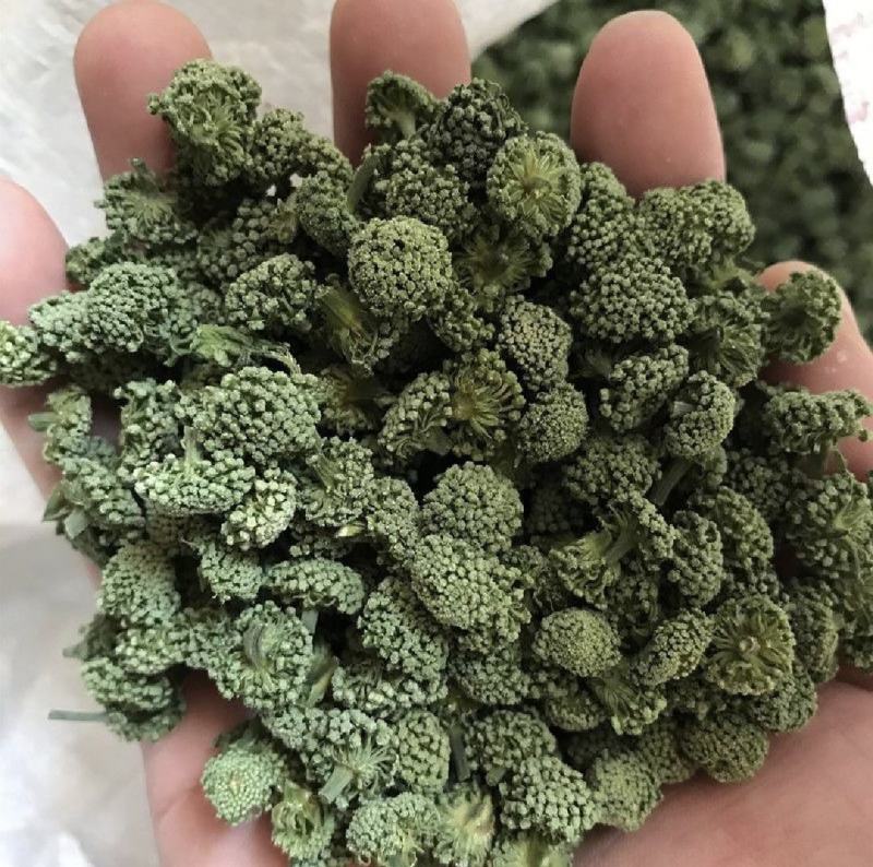 三七花，四年生，新货无硫无熏蒸，产地一手货源，实拍现货