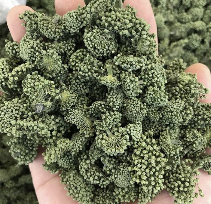 三七花，四年生，新货无硫无熏蒸，产地一手货源，实拍现货