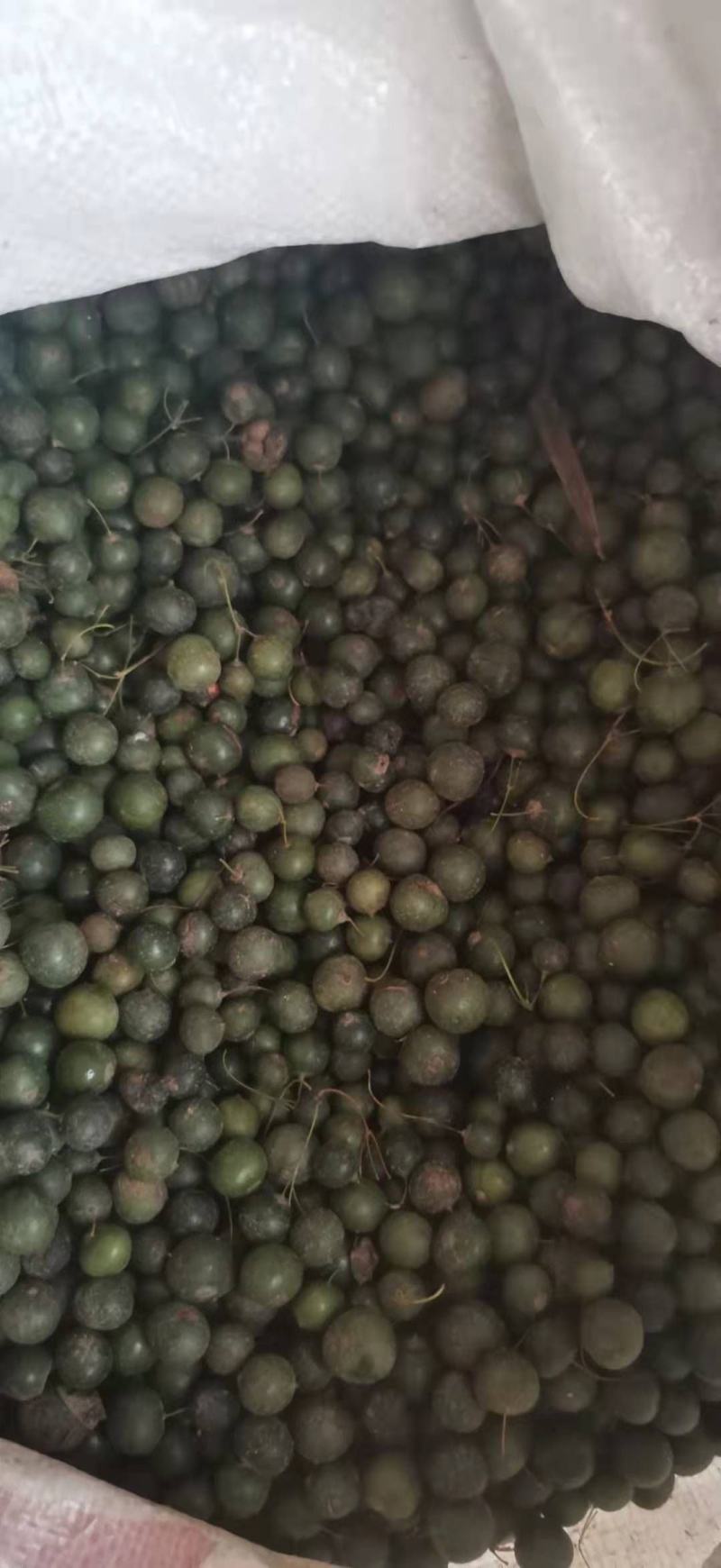 鸡头黄精种子，新产带皮鲜货，药材产业基地一手货源产地直销