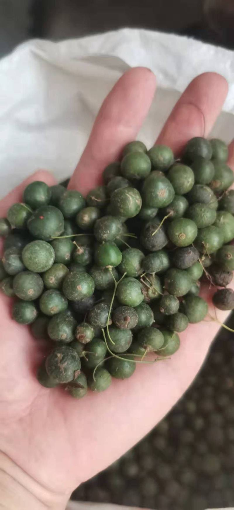 鸡头黄精种子，新产带皮鲜货，药材产业基地一手货源产地直销