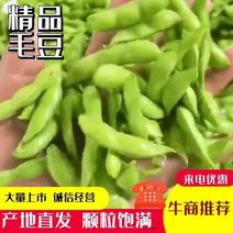 [热卖中]山东翠绿宝毛豆产地直发一手货源颗粒饱满支持视频