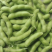 [热卖中]山东翠绿宝毛豆产地直发一手货源颗粒饱满支持视频