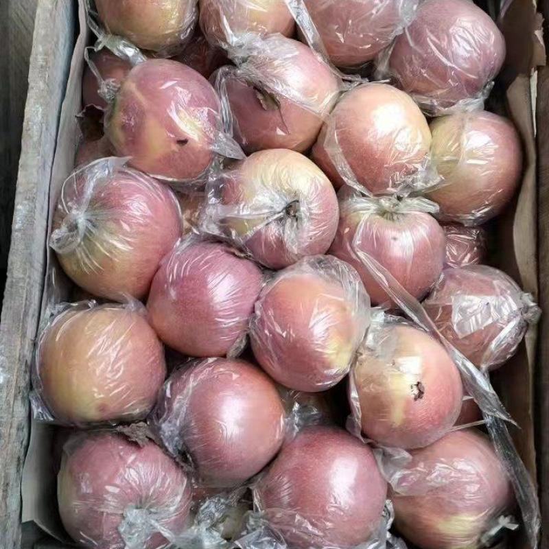 红富士苹果，脆甜果，黄嚷，糖份高，货源充足：全国代发
