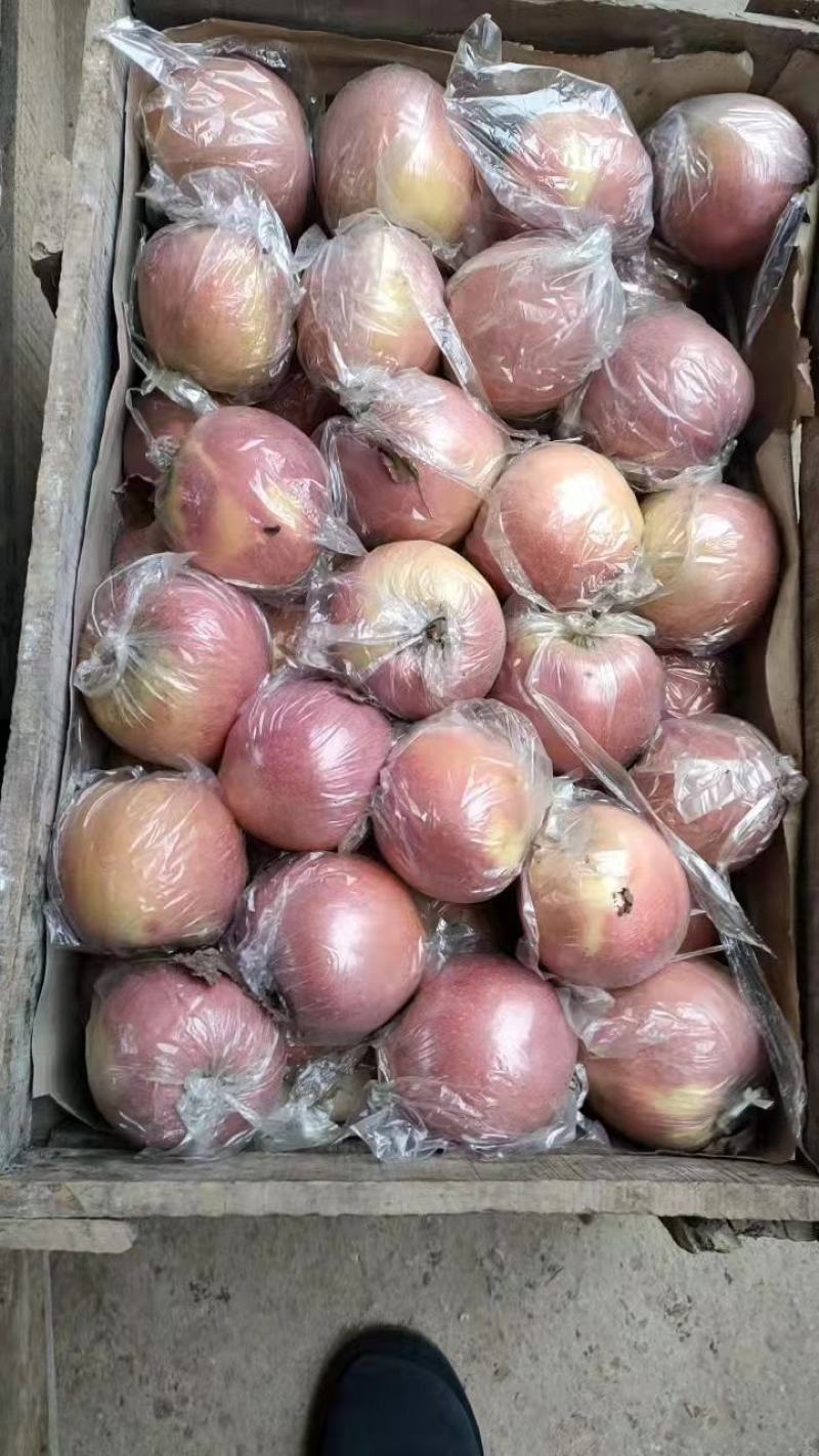 红富士苹果，脆甜果，黄嚷，糖份高，货源充足：全国代发