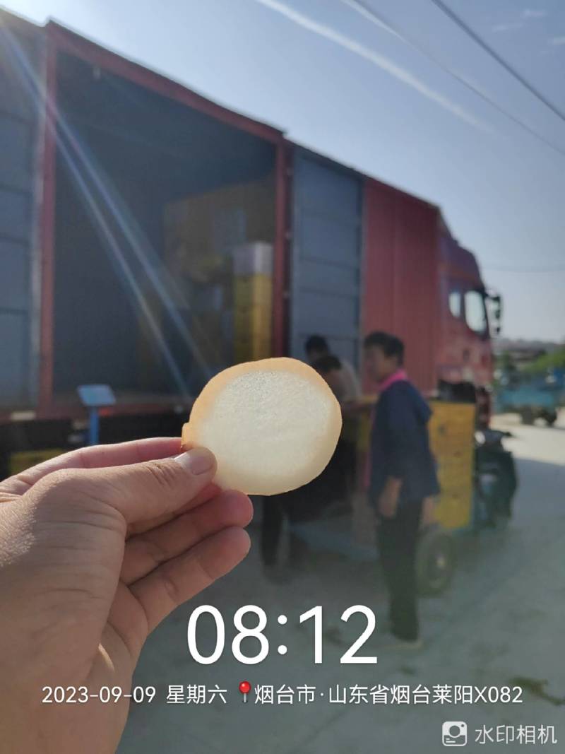 秋月梨