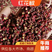四川红花椒大量上市产地直发对接全国市场欢迎致电