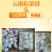 云南小铁头包菜进出口贸易标准货