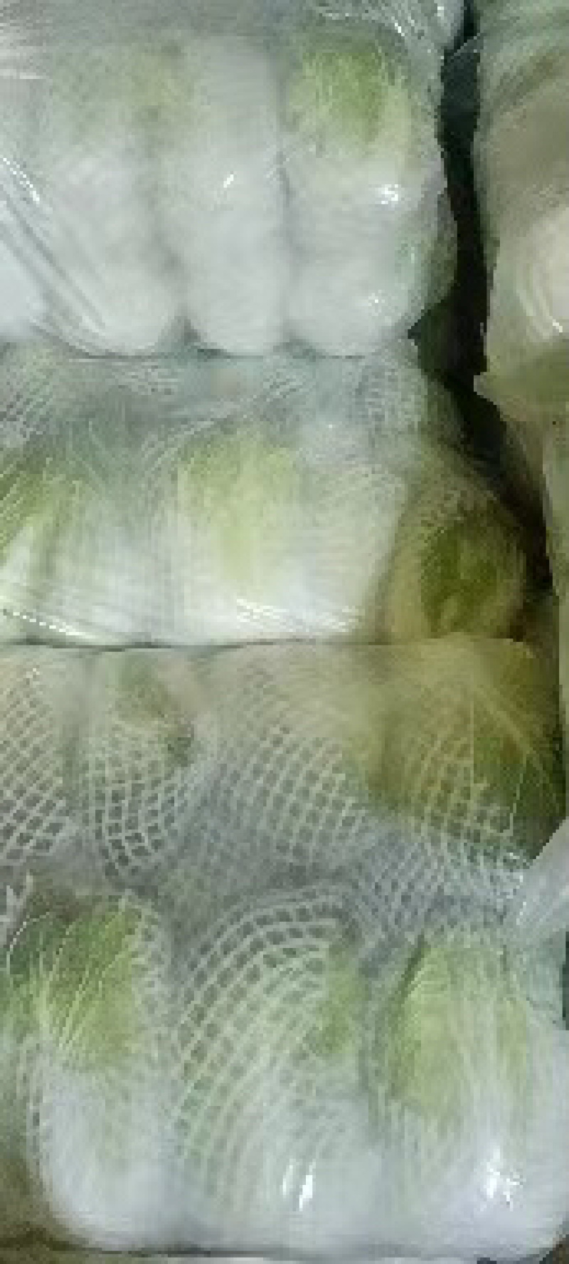 云南小铁头包菜进出口贸易标准货