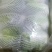云南小铁头包菜进出口贸易标准货