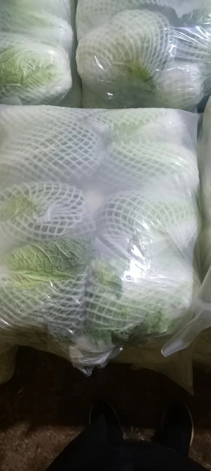 云南小铁头包菜进出口贸易标准货