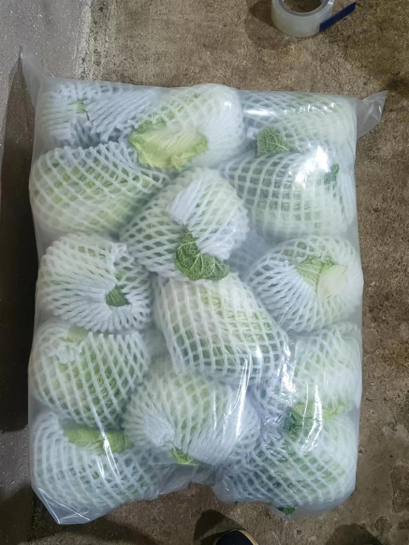 云南小铁头包菜进出口贸易标准货