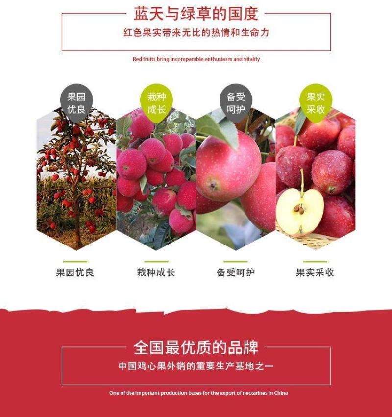 东北海棠果鸡心果大量新鲜供应，口感脆甜酸爽欢迎来电订购