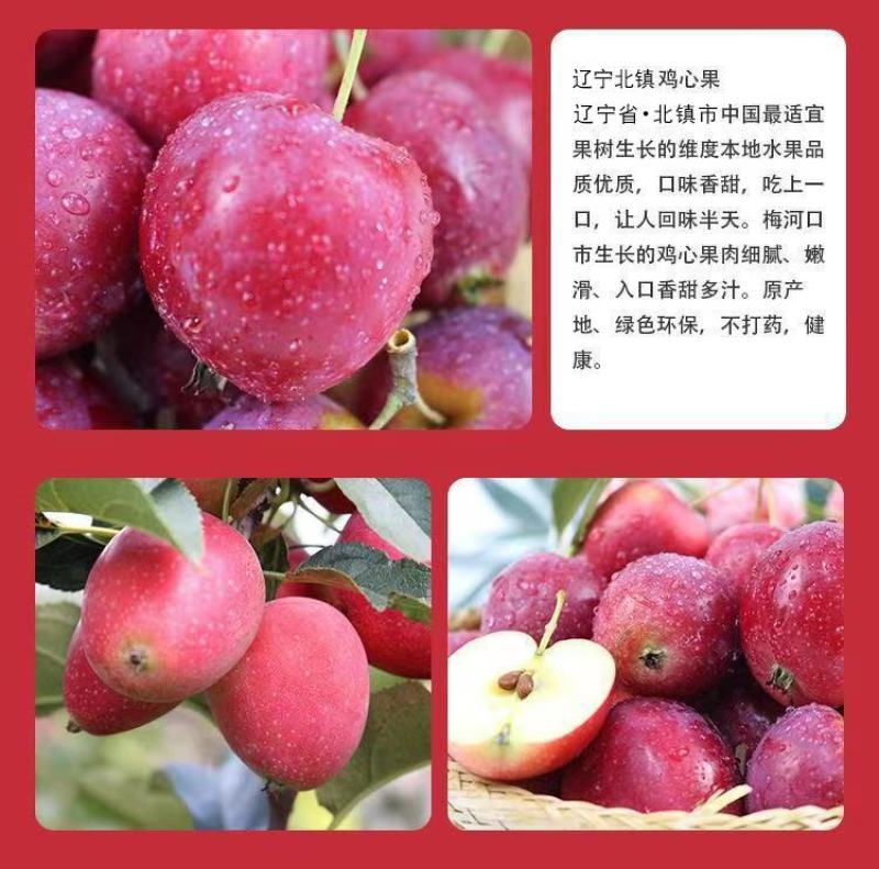东北海棠果鸡心果大量新鲜供应，口感脆甜酸爽欢迎来电订购