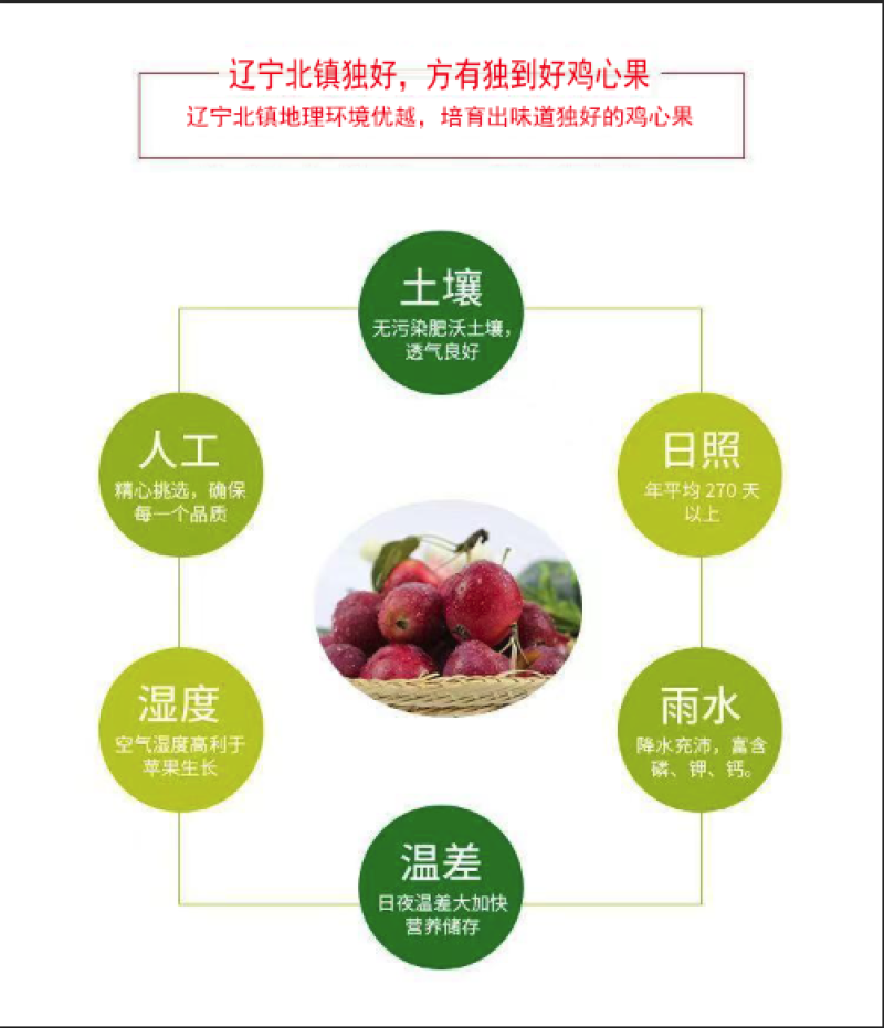 东北海棠果鸡心果大量新鲜供应，口感脆甜酸爽欢迎来电订购