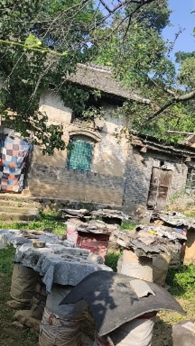 【精选】野山花蜜土蜂蜜农家基地发货品质保障价格美丽
