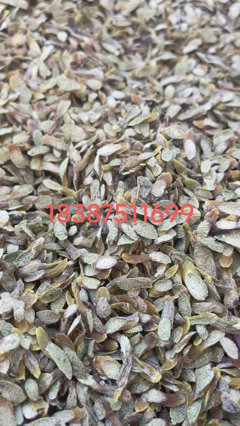 正宗云南铁皮石斛切片枫斗切片铁皮石斛干片精选仿野生鲜条石