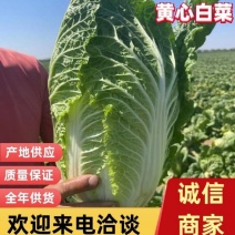 白菜，吉林黄心白菜，产地直发，实力代办，保质保量