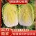 白菜，吉林黄心白菜，产地直发，实力代办，保质保量