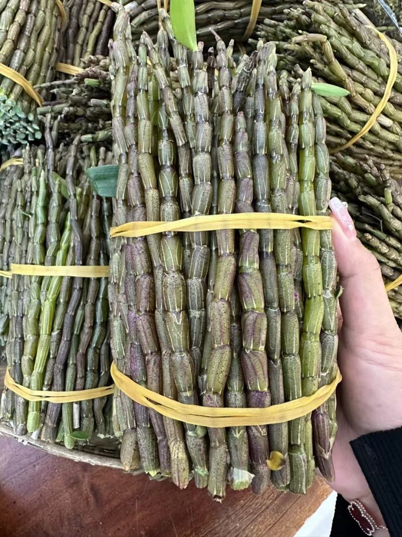 铁皮石斛鲜条铁皮石斛枫斗铁皮石斛花石斛四年生
