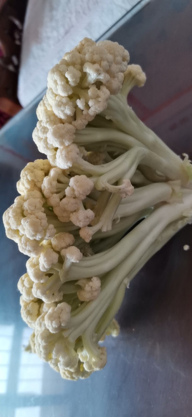 有机花
