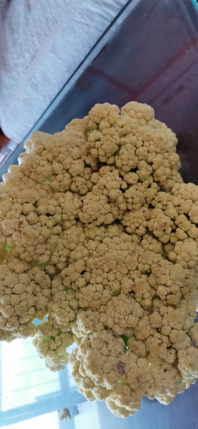 有机花