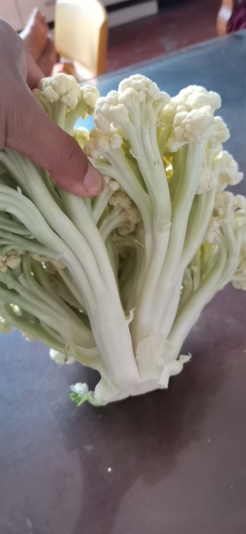 有机花