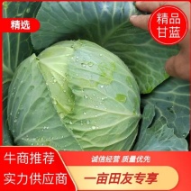 甘蓝，吉林绿球甘蓝，包菜，大量供应，质量保证，代发全国