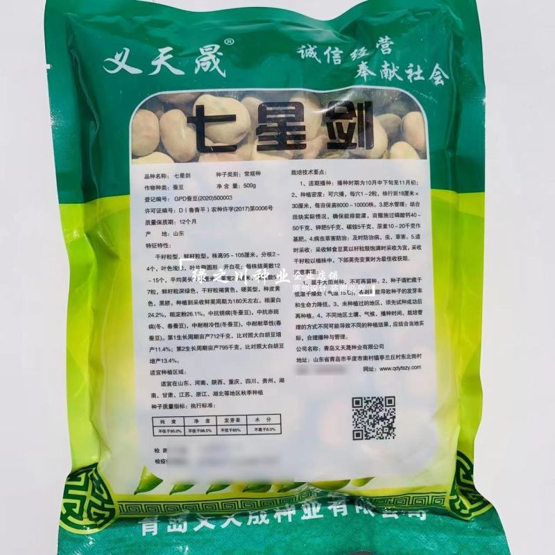 七粒香蚕豆种子中熟品种大粒蚕豆种子大田用种