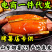 一件代发烤薯批发烟薯25烤地瓜专用社区团购