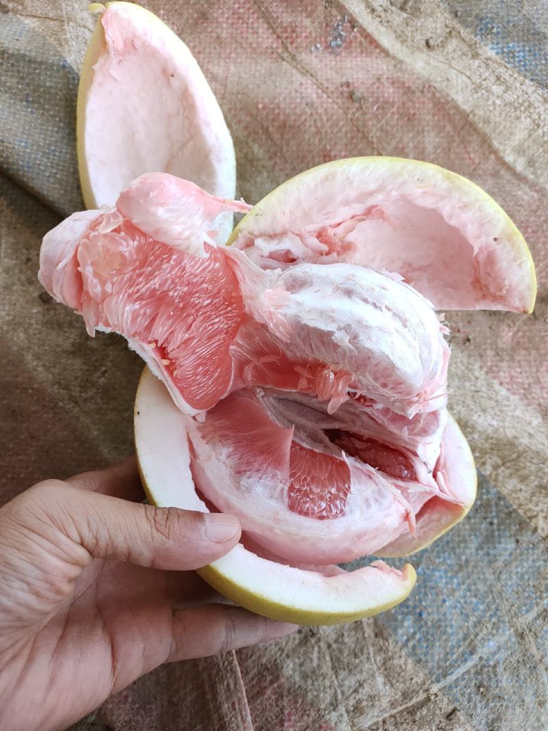 广西三红蜜柚纯甜无酸皮薄肉红汁水足
