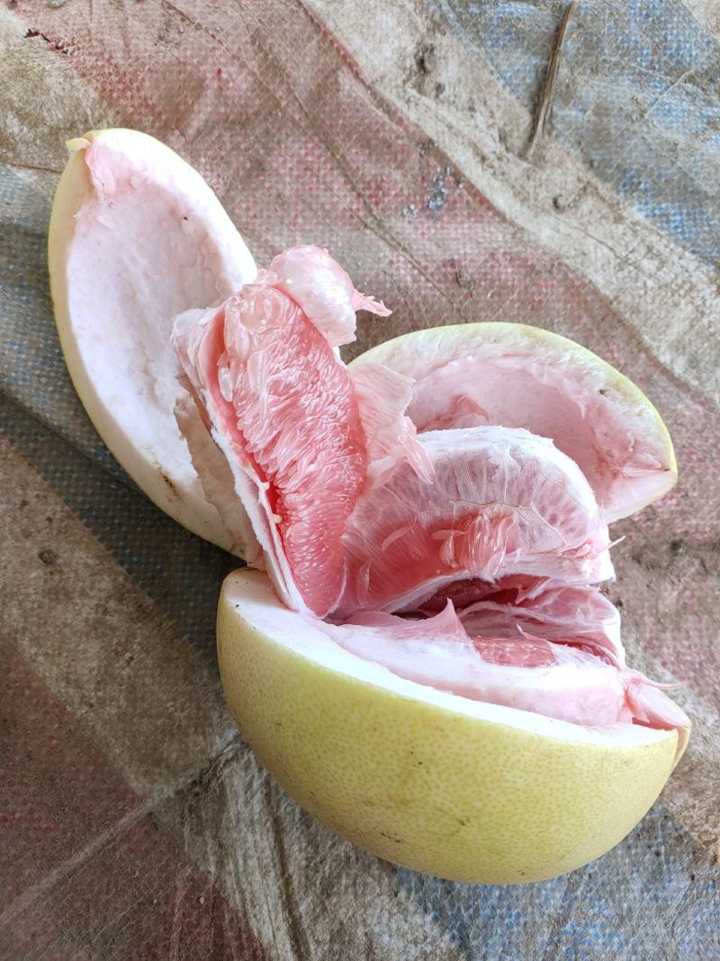 广西三红蜜柚纯甜无酸皮薄肉红汁水足