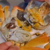 江苏精品大残蟹