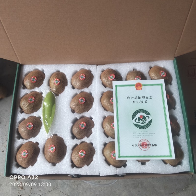 陕西猕猴桃
