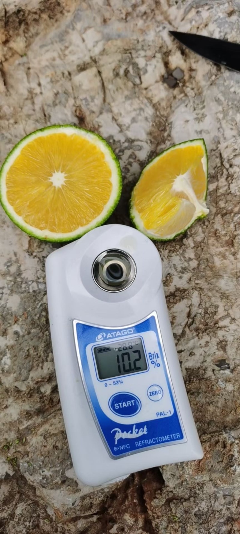 云南高原冰糖橙，皮薄肉嫩，甜果初恋六零到八零通货