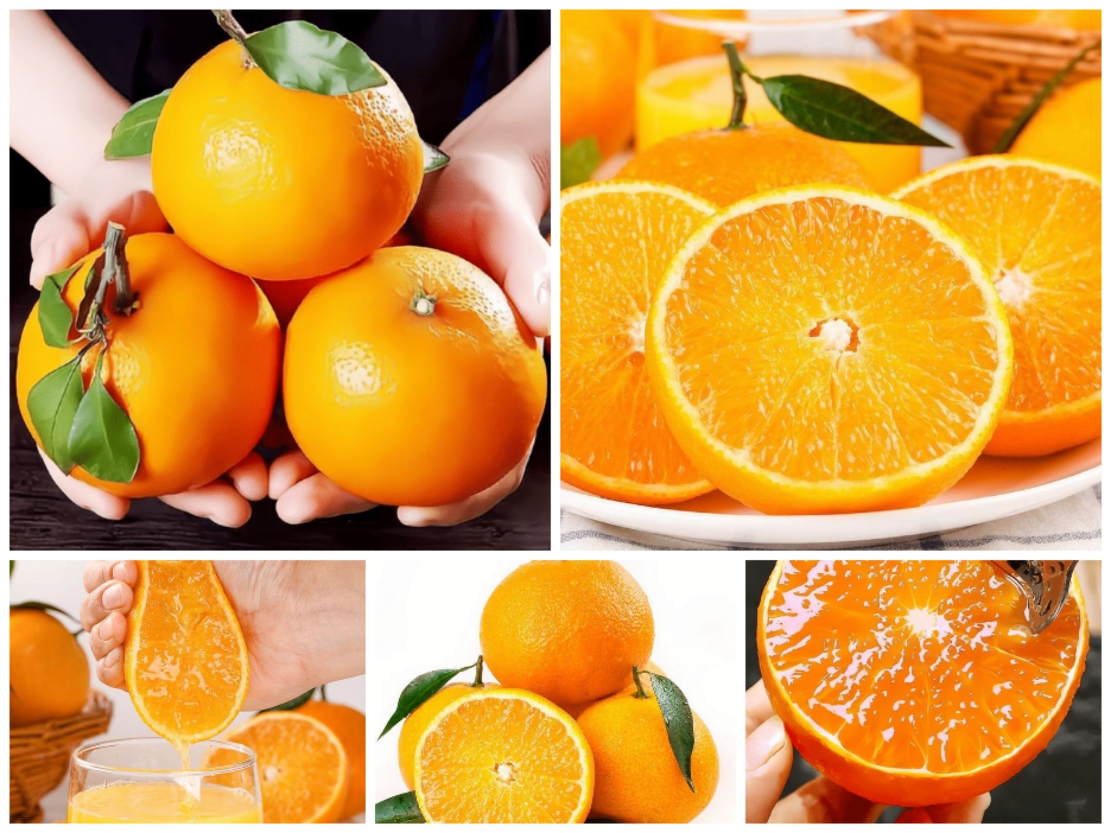 挑选爱媛橙的对比图