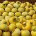 恭城柿子常年代收代发市场果，越南果，电商果