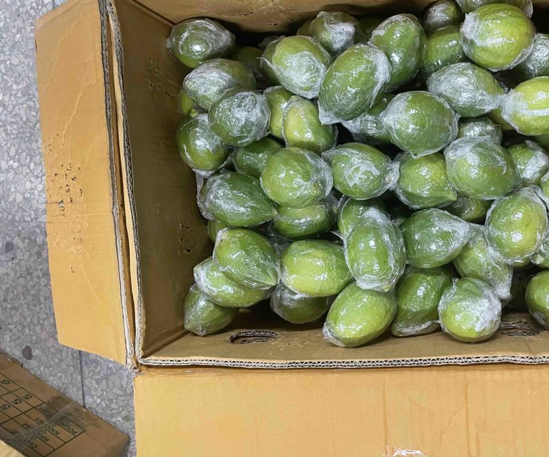 广东香水柠檬🍋一级果