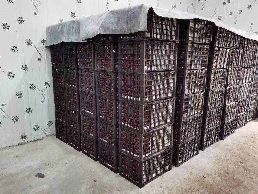 脆红李子包装与销售场景