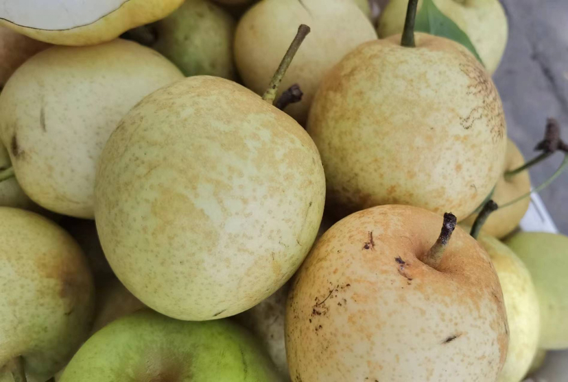 陈皮炖雪梨成品图