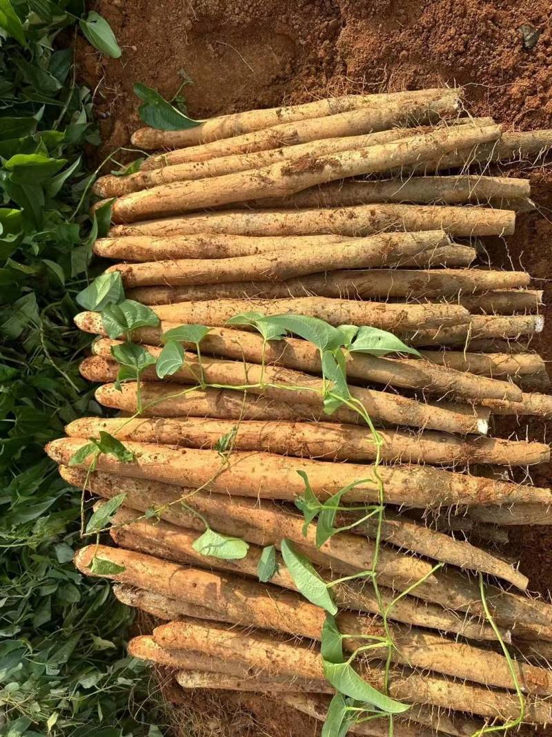 淮山药，对接各大电商平台，批发市场，价格实惠，质量保证