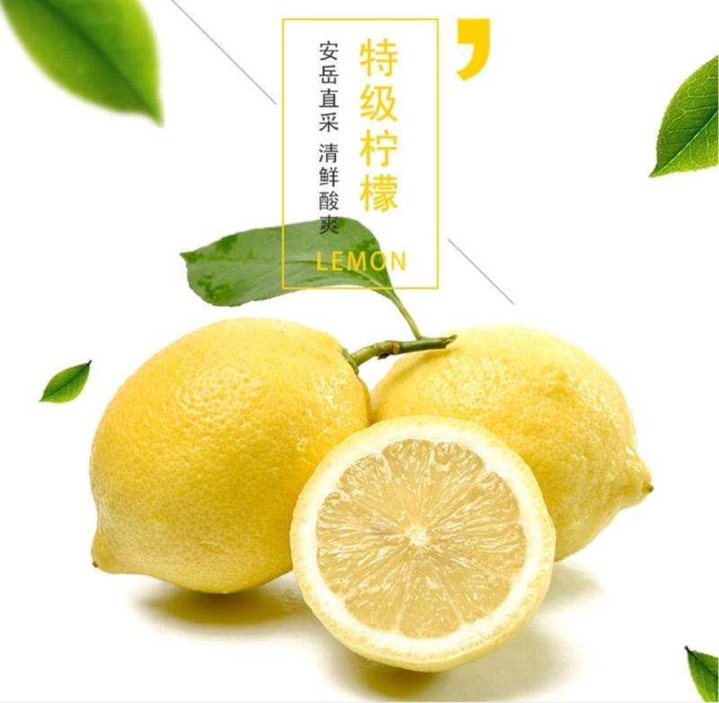 【优选】黄柠檬，四川安岳县大量种植，基地直发，欢迎咨询