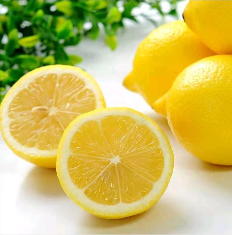 【优选】黄柠檬，四川安岳县大量种植，基地直发，欢迎咨询
